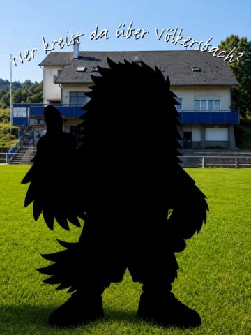 Wer kreist da über Völkersbach?
